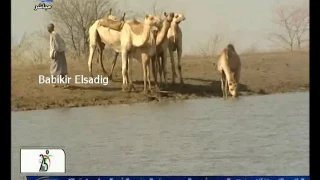 محمود عبد العزيز ونادر خضر ننساك 