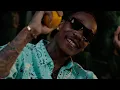 Download Lagu Wiz Khalifa - Take Your Time Get Paid (feat. DJ Quik) [Official Music Video]
