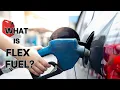 What is Flex Fuel FLEX FUEL Flex Fuel Vehicles What to know about them