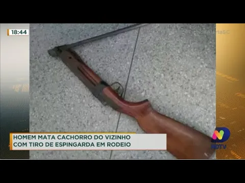 Homem mata cachorro do vizinho com tiro de espingarda