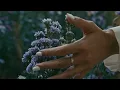 How To Do A French Manicure - Coffin White Tips