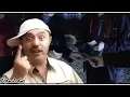 Download Lagu Nicolae Guta si Don Genove - Dau cu suta pe la barba (Manele vechi)