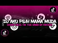 Download Lagu DJ AKU PILIH MAMA MUDA X MALPAL SLOW TIKTOK 2022