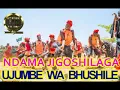 Download Lagu NDAMA JIGOSHILAGA UJUMBE WA BHUSHILE  BY LWENGE STUDIO
