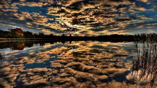 A R D I feat Irena Love - Memories Original Mix Silent Shore
