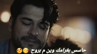 حالات واتس انتي بقلبي وجوا الروح دندنها