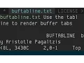vim-buftabline buffer list in tabline