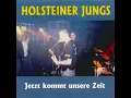 Lagu Holsteiner Jungs - Schuld hat das System