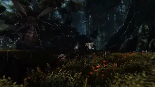 FINAL FANTASY XIV COMPLETE RT Preset