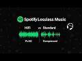 Download Lagu Spotify Lossless Audio | Experience High-Quality Music Streaming on Premium | newsdrift