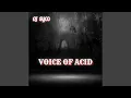 Download Lagu Voice of Acid
