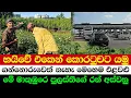 Download Lagu 🚗 “From the Highway to the Farm — The Urban Green Revolution |🌿 This Is How You Own a Beautiful Farm
