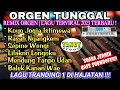 Download Lagu ORGEN TUNGGAL- REMIX ORGEN LAGU TERVIRAL 2023❗Tandy studio❗Koyo jogja istimewa, Rasah nyangkem