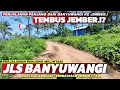 Download Lagu Perjalanan Ke Jember Lewat JLS Banyuwangi‼️Perjalanan Panjang di Ruas Malangsari - Perbatasan Jember
