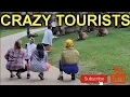 Crazy Tourists Getting Too Close to Bull Elk UNBELIEVABLE ELK ATTACK