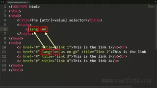 CSS attr value selector