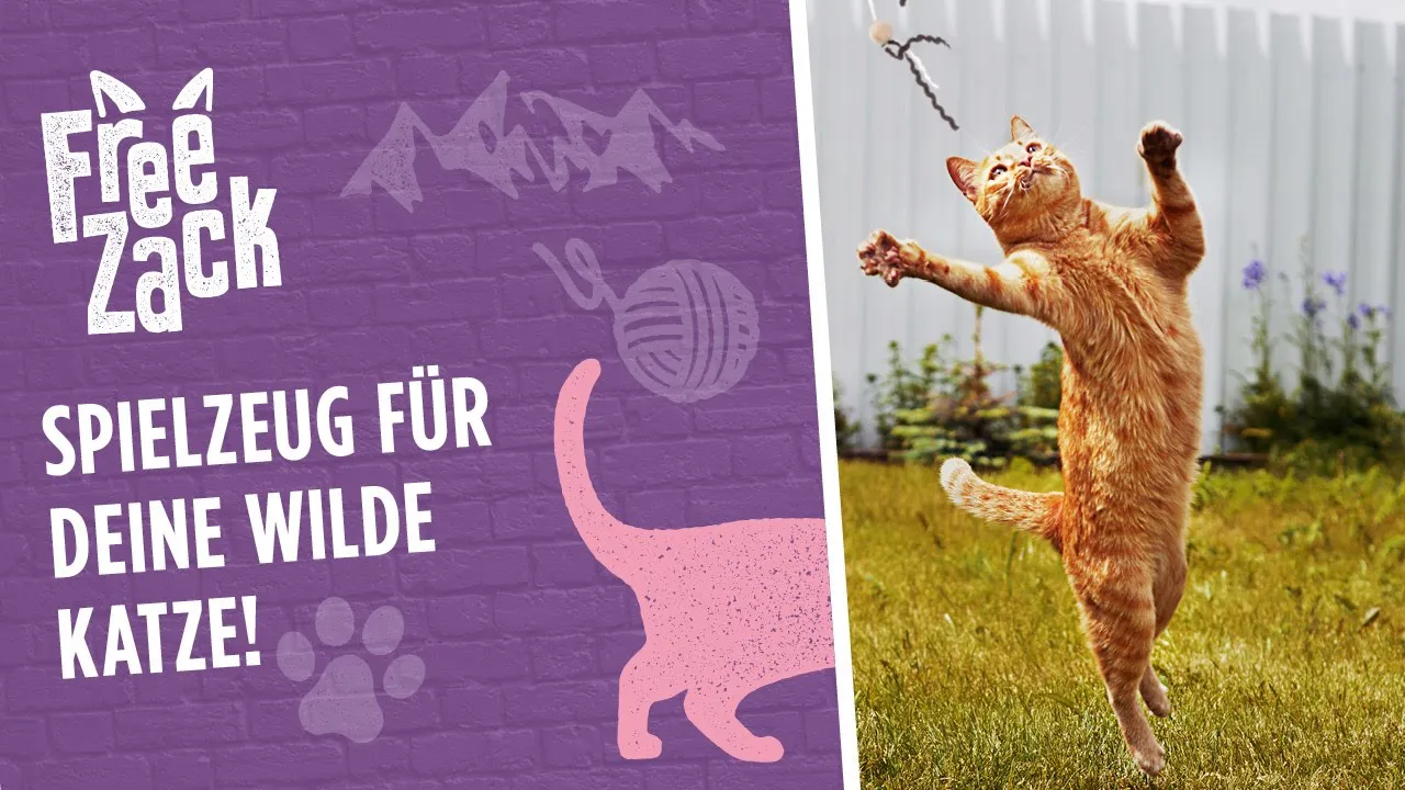 FREEZACK Cork Cat Toy Mouse, jouet souris en liège pour chat