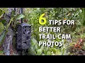 6 Tips for Trail-Camera Setup to Get More Better Deer Photos
