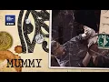 Download Lagu The Mummy: \