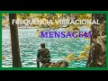 Download Lagu Frequência Vibracional _ Mensagem da Frequência Original_ Penney Peirce