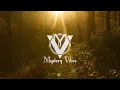 Funkmammoth - Didn't Expect This