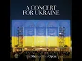 Verdi: Nabucco / Act III: Va, pensiero