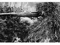 Early Assault Rifles 1890 to 1945 - WW1 WW2