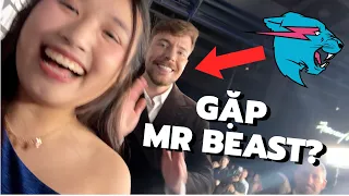 MÌNH GẶP MR BEAST NGOÀI ĐỜI?