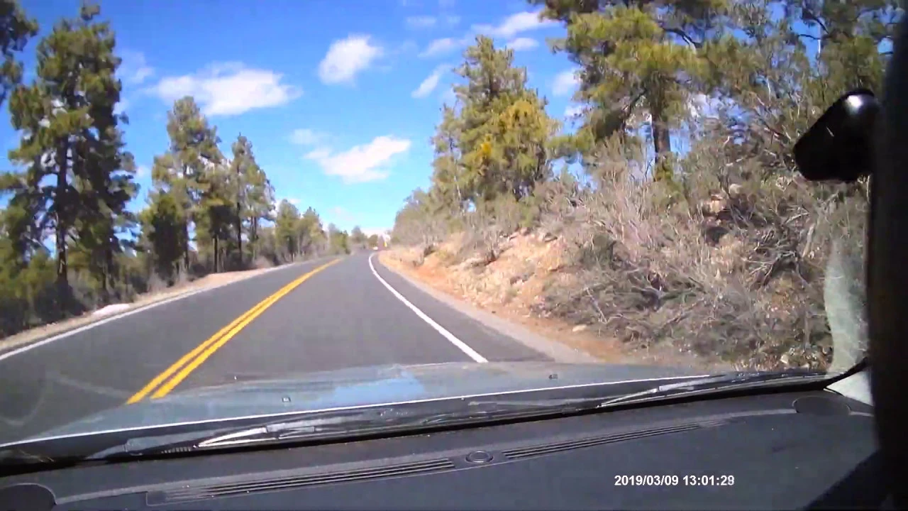 Flagstaff, Arizona Tour | Moving / Living in Flagstaff, AZ (Pt. 2)
