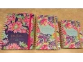 Lilly Pulitzer Agenda 2016-2017 - Size Comparison