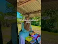 Download Lagu Aku Milikmu (Lyrics) | DEWA 19 #akumilikmu #dewa19 #lyrics #shorts