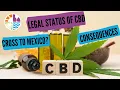 The Legal Status of CBD Can You Cross with CBD to Mexico