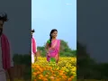 Download Lagu Nuvvu Yadikosthe Pilla 🌿💫 #love #folkssongs #folklovers #folkmusic #telugu #melody #songs #song