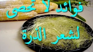 هل تعلم ماهي فوائد شعر الذرة    سبحان الله فوائد عظيمة لا تحصى دندنها