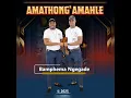 Sekugcwele amalahle
