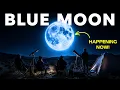 A Rare Micro Blue Moon Is Happening Don t Miss This Night