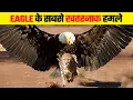 Download Lagu ईगल इतने खतरनाक क्यों होते है | Most Dangerous Eagle Attacks Caught on Camera