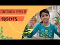 Functions and Types of ROOTS Sci Unlimited