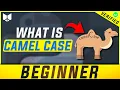 What is Camel Case and Upper Camel Case