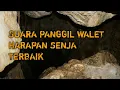 Download Lagu Suara Panggil Walet Harapan Senja Terbaik