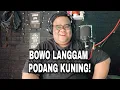 Download Lagu BOWO LANGGAM PODANG KUNING - COVER BY @bigtulus_official