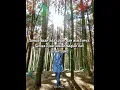 Download Lagu Ma Fi Qalbi Ghairullah 😇