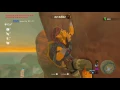 Zelda Botw - Super Gut Check Challenge