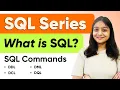 What is SQL Types of SQL Commands SQL Series Part - 1