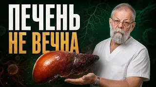Печень умеет восстанавливаться - почему этот запас заканчивается