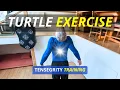 The TURTLE EXERCISE TENSEGRITY Animal Exercises