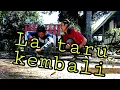 Download Lagu Video lucu Bugis (Bone selatan) - la taru part 2