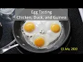 Egg Tasting - Chicken Duck and Guinea