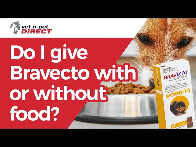 Bravecto 1-Month Chews for Small Dogs 4.5-10kg (Orange)