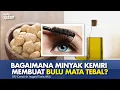 Download Lagu Khasiat Tersembunyi dari Minyak Kemiri untuk Mempertebal dan Memperindah Bulu Mata | Kata Dokter